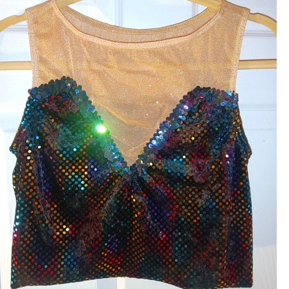 Vintage Rainbow Iridescent Sequin Crop Top